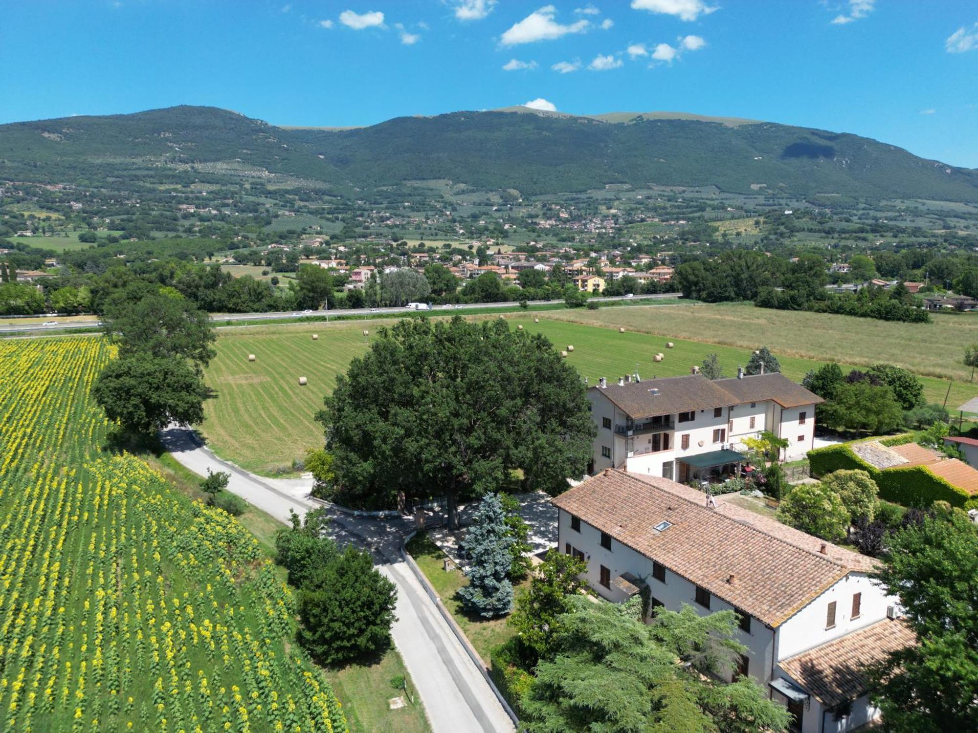 Il Quercione Agriturismo Rivotorto Exteriör bild