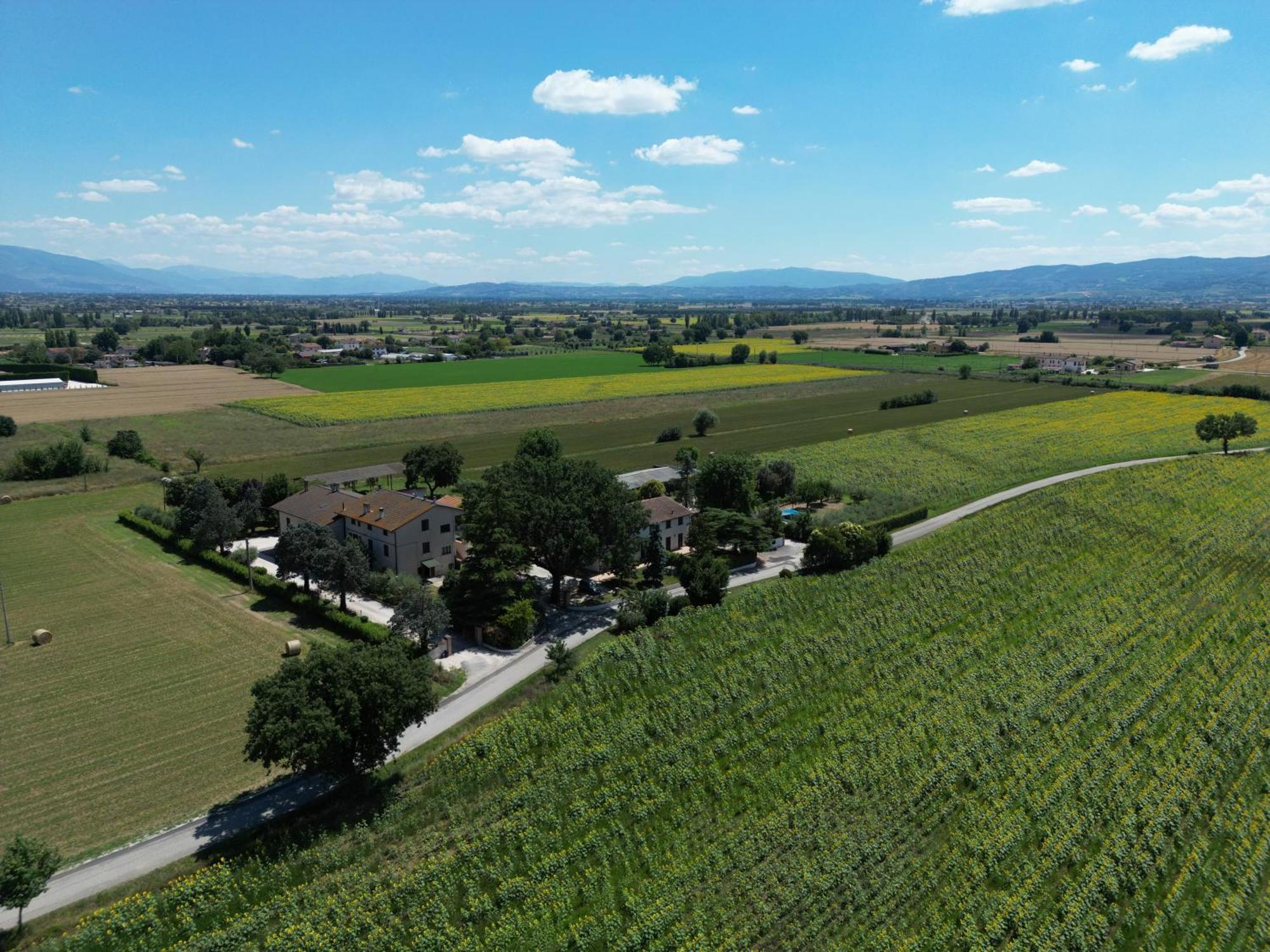 Il Quercione Agriturismo Rivotorto Exteriör bild