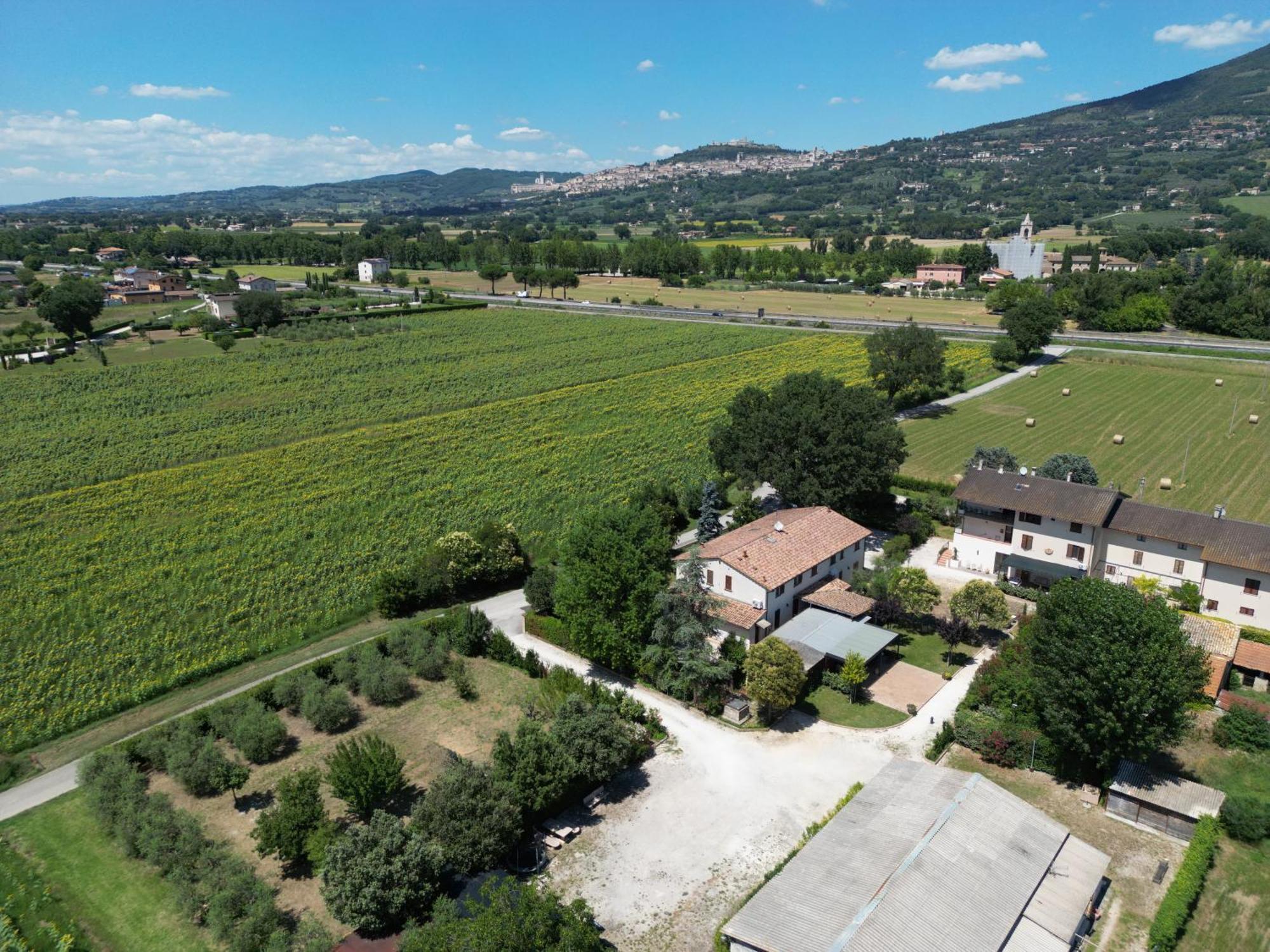 Il Quercione Agriturismo Rivotorto Exteriör bild